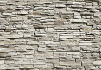 Papier Peint - The Wall 366x254cm - Papier