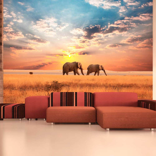 Papier Peint - Afrikaanse Savanne Olifanten 250x193cm - Intissé