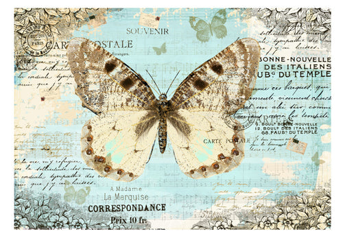 Papier Peint - Postcard with Butterfly - Intissé