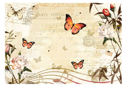 Papier Peint - Melodies of Butterflies - Intissé