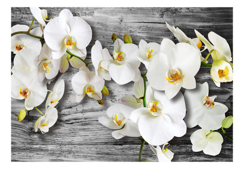 Papier Peint - Callous Orchids Iii - Intissé