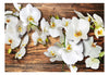 Papier Peint - Forest Orchid - Intissé