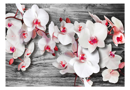 Papier Peint - Callous Orchids - Intissé