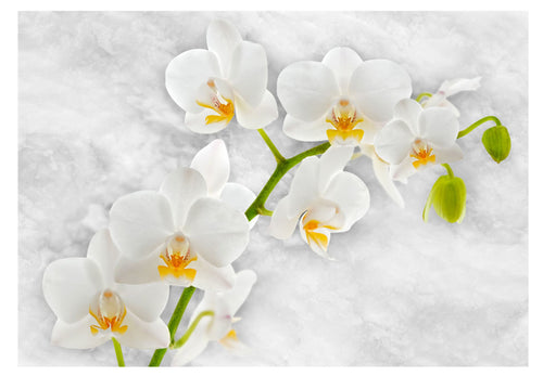 Papier Peint - Lyrical Orchid White - Intissé