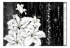 Papier Peint - Crying Lilies - Intissé