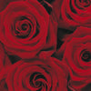 Komar Roses Papier Peint 194x270cm | Yourdecoration.fr