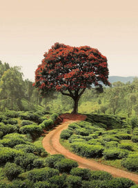 Wizard+Genius Red Tree And Hills In Sri Lanka Papier Peint Intissé 192x260cm 4 bandes | Yourdecoration.fr