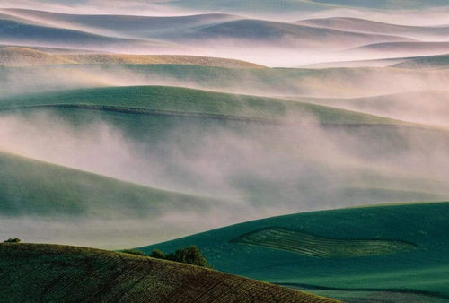 Wizard+Genius Foggy Hills I Papier Peint Intissé 384x260cm 8 bandes | Yourdecoration.fr