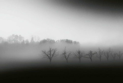 Wizard+Genius Foggy Landscape Papier Peint Intissé 384x260cm 8 bandes | Yourdecoration.fr