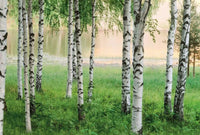 Wizard+Genius Nordic Forest Papier Peint Intissé 384x260cm 8 bandes | Yourdecoration.fr