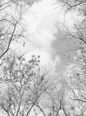 Wizard+Genius Tree Tops Papier Peint Intissé 192x260cm 4 bandes | Yourdecoration.fr