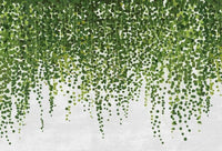 Wizard+Genius Hanging Plants Papier Peint Intissé 384x260cm 8 bandes | Yourdecoration.fr
