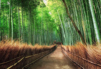 Wizard+Genius Bamboo Grove Kyoto Papier Peint Intissé 384x260cm 8 bandes | Yourdecoration.fr