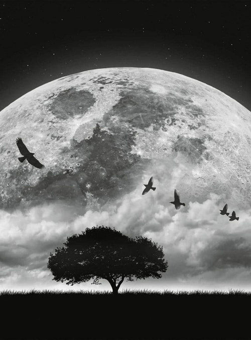 Wizard+Genius Moon and Birds Papier Peint Intissé 192x260cm 4 bandes | Yourdecoration.fr