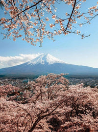 Wizard+Genius Mount Fuji in Japan Papier Peint Intissé 192x260cm 4 bandes | Yourdecoration.fr