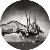 Wizard+Genius The Duel Papier Peint Intissé 140x140cm rond | Yourdecoration.fr