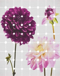 Komar Flowers and Dots Papier Peint Intissé 200x250cm 2 bandes | Yourdecoration.fr