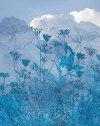 Komar Blue Sky Papier Peint Intissé 200x250cm 2 bandes | Yourdecoration.fr