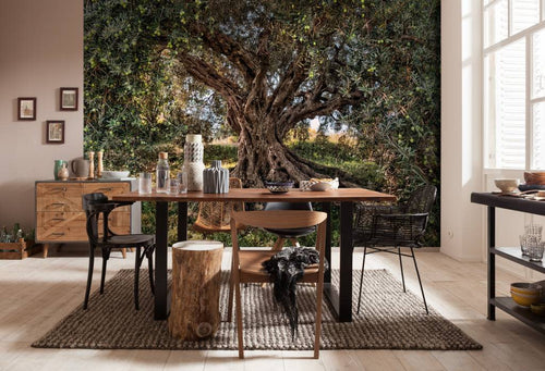 Komar Olive Tree Papier Peint National Geographic 368x254cm | Yourdecoration.fr