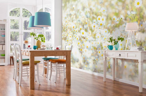 Komar Daisies Papier Peint 368x254cm | Yourdecoration.fr