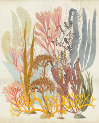 Komar Catchy Corals Intisse Papier Peint 200x250cm 2 bandes | Yourdecoration.fr