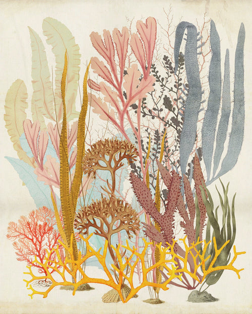Komar Catchy Corals Intisse Papier Peint 200x250cm 2 bandes | Yourdecoration.fr