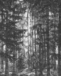 Komar Lustres Lapland Intisse Papier Peint 200x250cm 2 bandes | Yourdecoration.fr