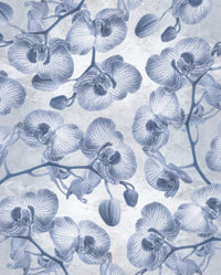 Komar Orchidee Intisse Papier Peint 200x250cm 4 bandes | Yourdecoration.fr