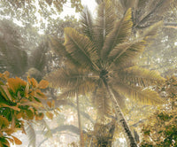 Komar Palms Panorama Intisse Papier Peint 300x250cm 3 bandes | Yourdecoration.fr