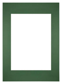 Passe Partout 59 4x84cm A1 A2 Carton Vert Foret Bord Droit De Face | Yourdecoration.fr