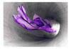 Papier Peint - Purple Apparition - Intissé