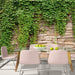 Papier Peint - Ivy Wall - Intissé