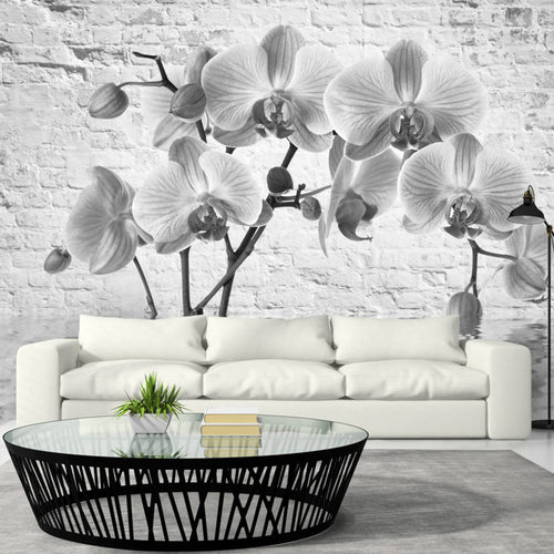 Papier Peint - Orchid in Shades of Gray - Intissé