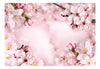 Papier Peint - Spring Cherry Blossom - Intissé
