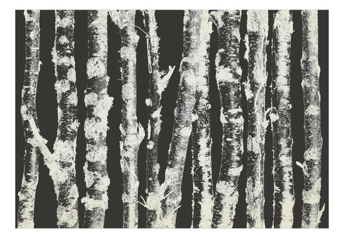 Papier Peint - Stately Birches Second Variant - Intissé