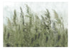Papier Peint - Tall Grasses Green - Intissé