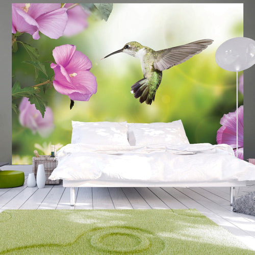 Papier Peint - Humming-Bird - Intissé