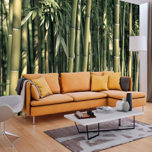Papier Peint - Bamboo Exotic - Intissé