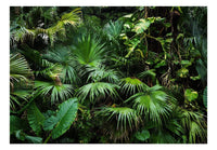 Artgeist Sunny Jungle Papier Peint Intissé 400x280cm 8-bandes