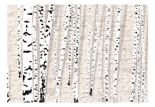 Papier Peint - Birchen Grove - Intissé