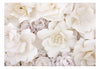 Papier Peint - Floral Display - Intissé