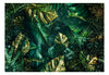 Papier Peint - Emerald Jungle - Intissé