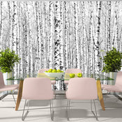 Papier Peint - Birch Forest - Intissé