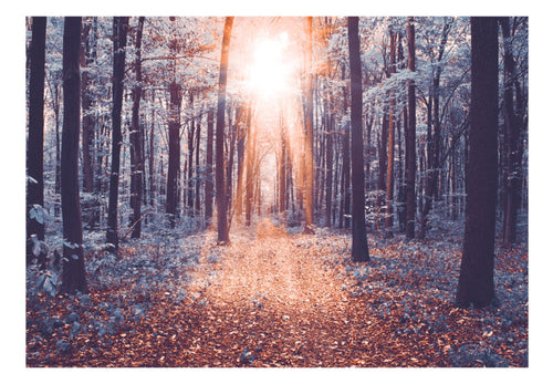 Papier Peint - Edge of the Sun - Intissé
