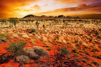 Dimex Australian Landscape Papier Peint 375x250cm 5 bandes | Yourdecoration.fr