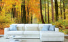 Dimex Autumn Forest Papier Peint 375x250cm 5 bandes ambiance | Yourdecoration.fr
