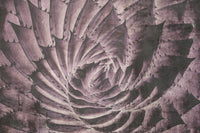 Dimex Cactus Abstract Papier Peint 375x250cm 5 bandes | Yourdecoration.fr