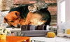 Dimex Cat and Dog Papier Peint 375x250cm 5 bandes ambiance | Yourdecoration.fr
