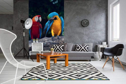 Dimex Colourful Macaw Papier Peint 150x250cm 2 bandes ambiance | Yourdecoration.fr
