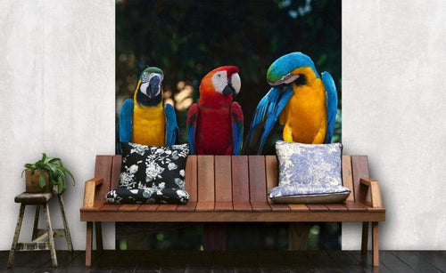 Dimex Colourful Macaw Papier Peint 225x250cm 3 bandes ambiance | Yourdecoration.fr